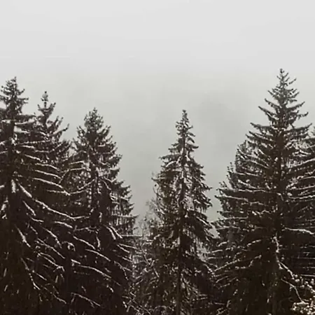 Erzgebirge Neuwelt