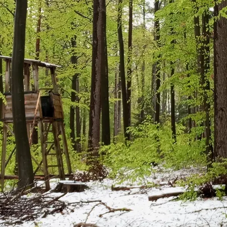 Holiday home Erzgebirge