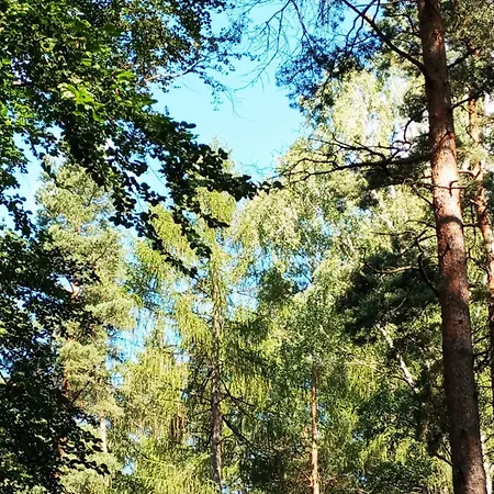 Erzgebirge Neuwelt