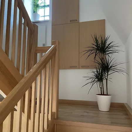 Erzgebirge Holiday home *