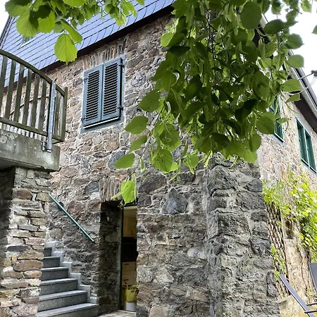 Erzgebirge Holiday home *
